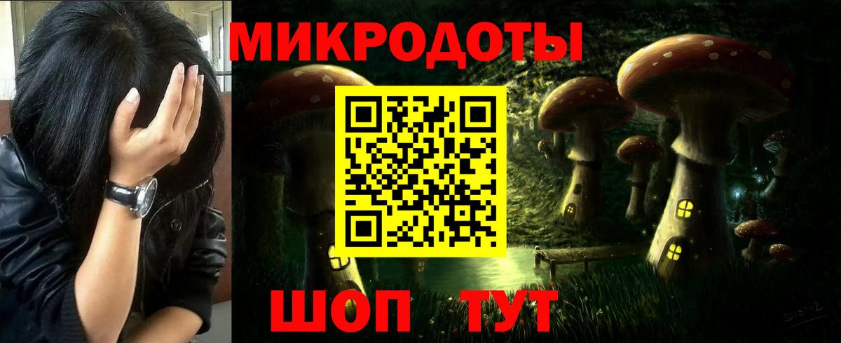 где купить наркоту  Вход с VPN  Зеленогорск  Галлюциногенные грибы прущие грибы 